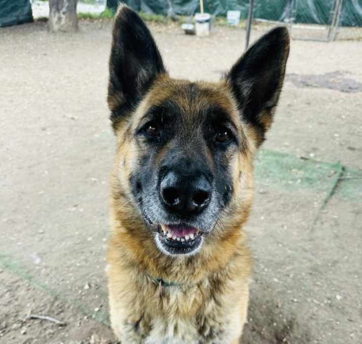 Photo of NICK