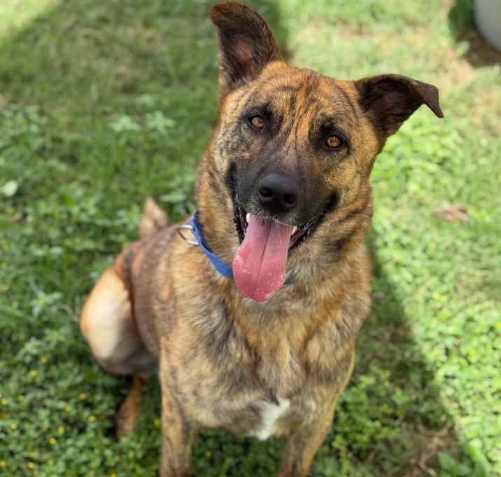 Photo of SCOOBY