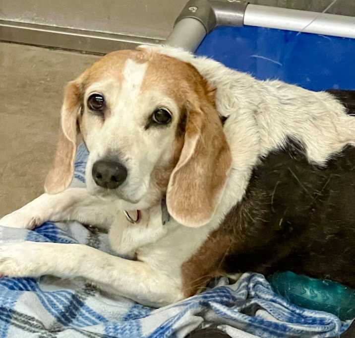 Photo of Buffy