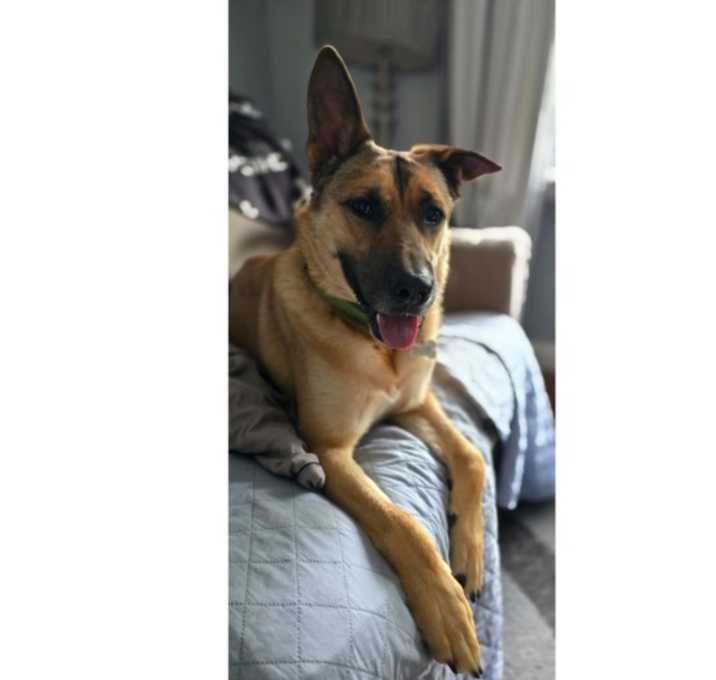 Photo of Reese