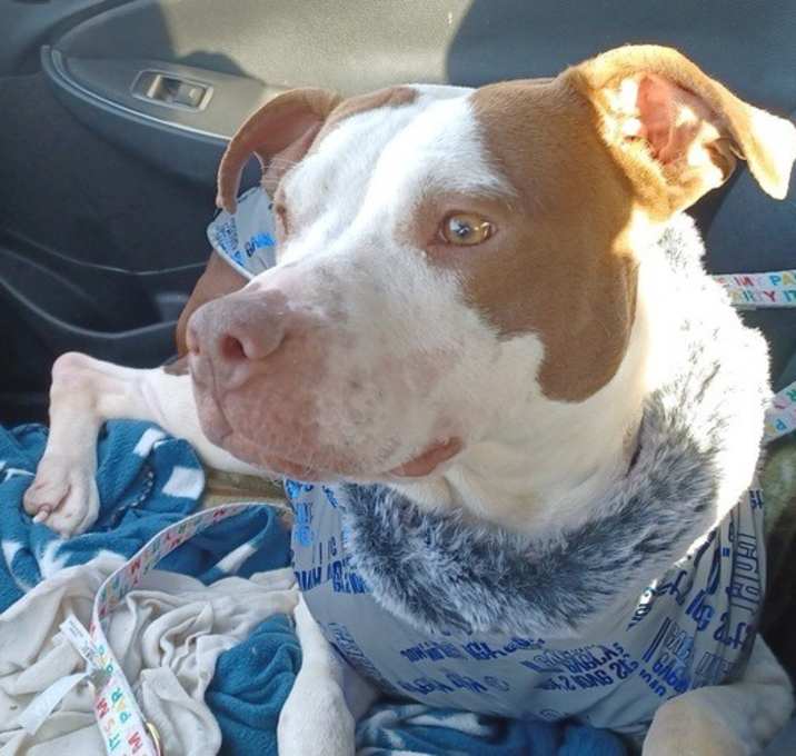 Photo of Penny