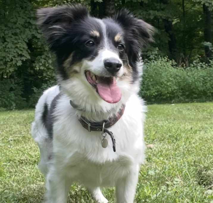 Photo of Oliver