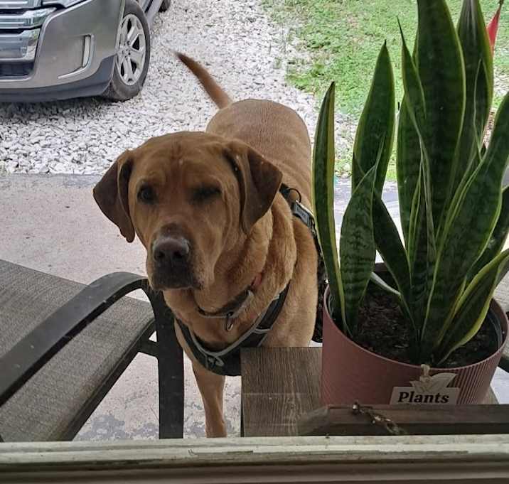 Photo of Charlie