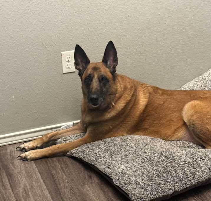 Photo of Mia