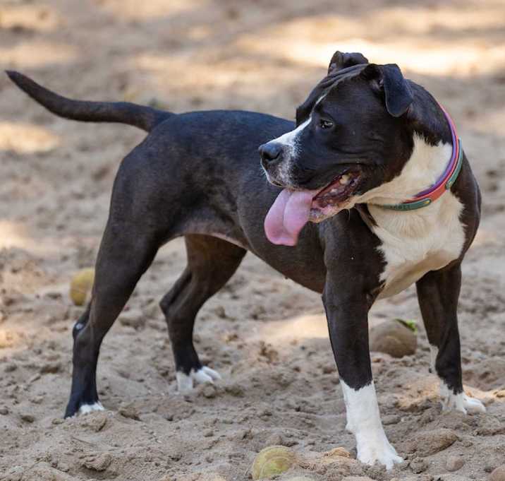 Photo of Laney