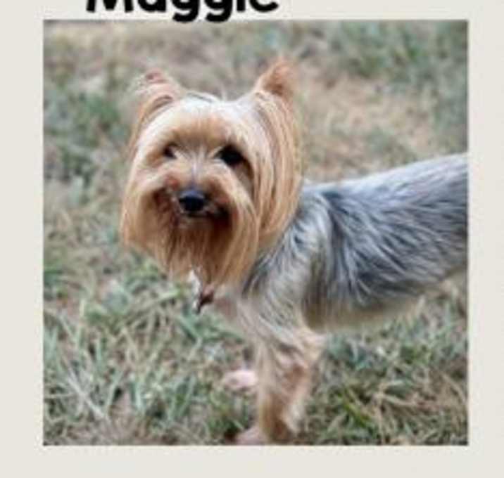 Photo of Maggie