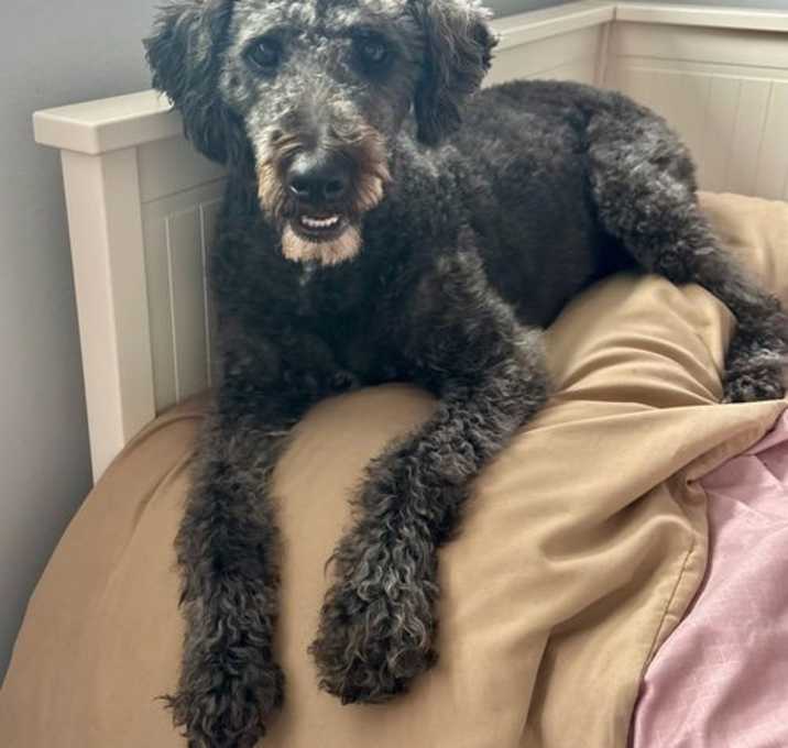 Photo of Lucy