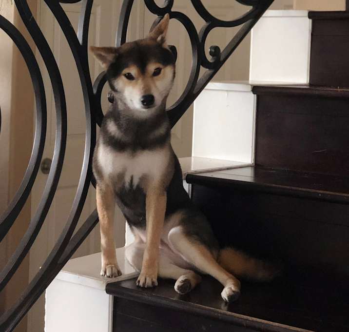 Photo of Aria