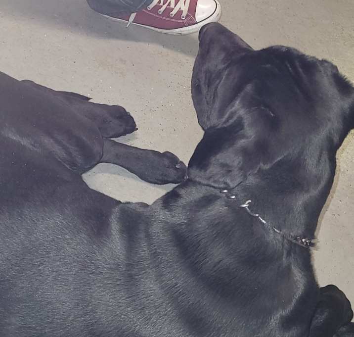 Photo of Zeus