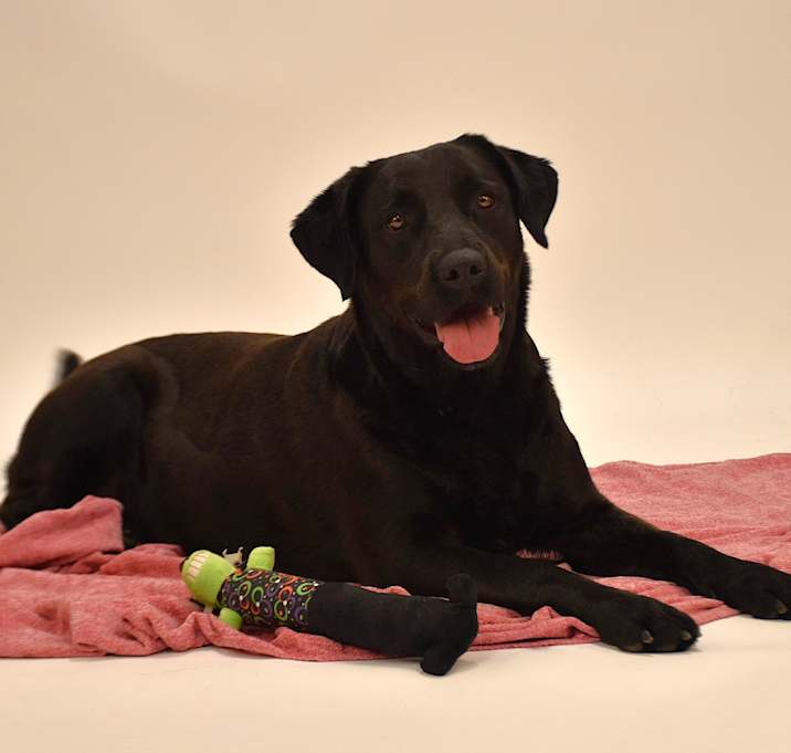 Photo of Linnie