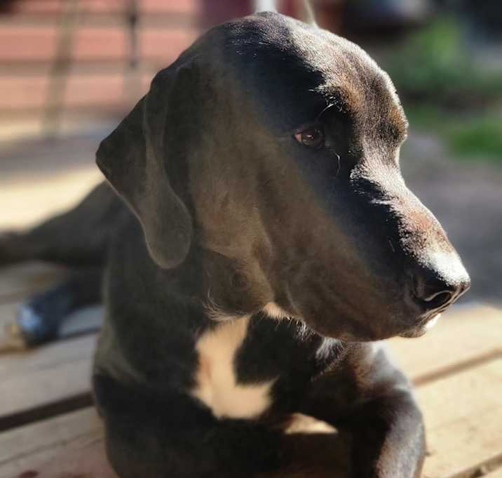 Photo of Papa