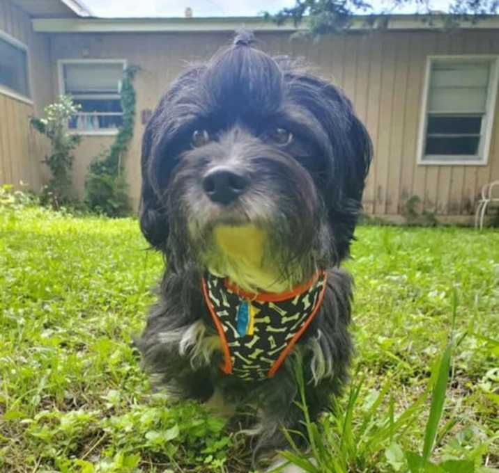Photo of Brew