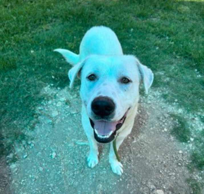 Photo of Clifford