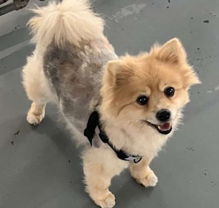 Photo of Precious #9