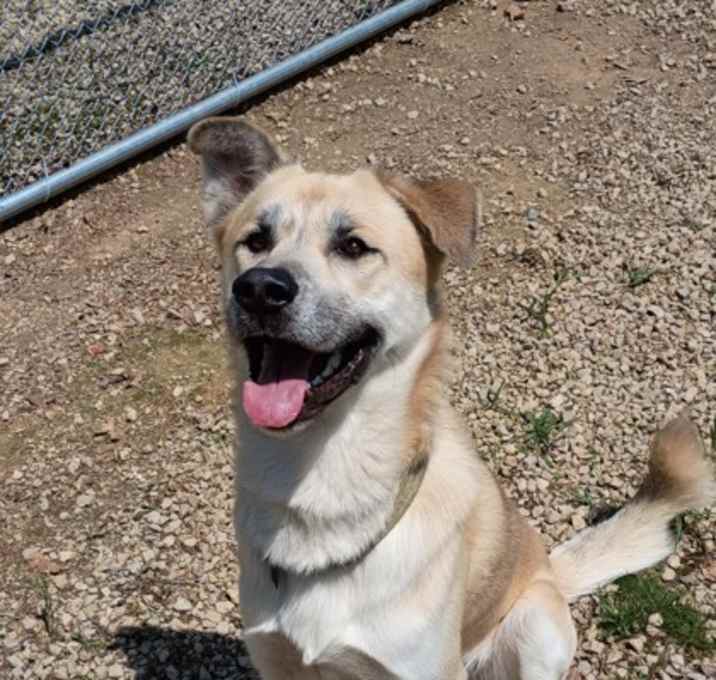 Photo of Apollo