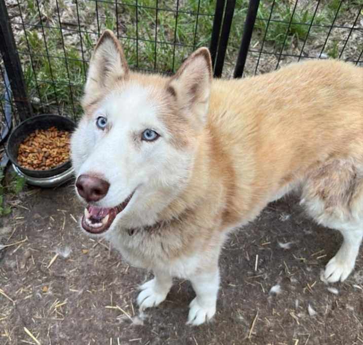 Photo of Lucy