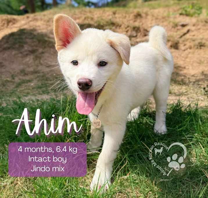 Photo of Ahim
