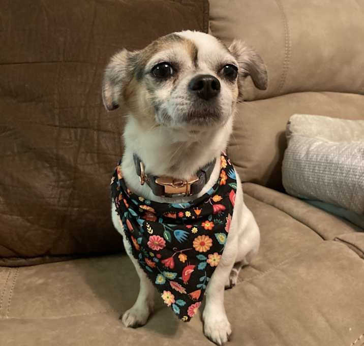 Photo of Rico