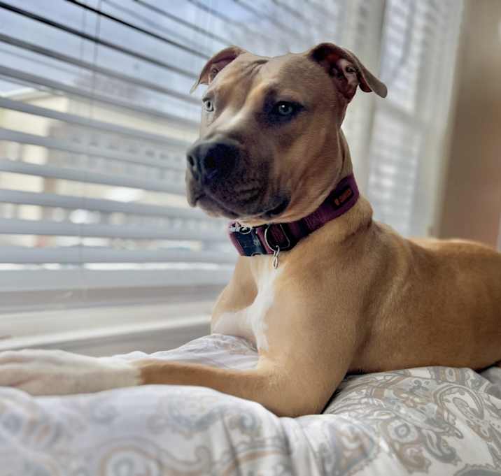 Photo of Agatha