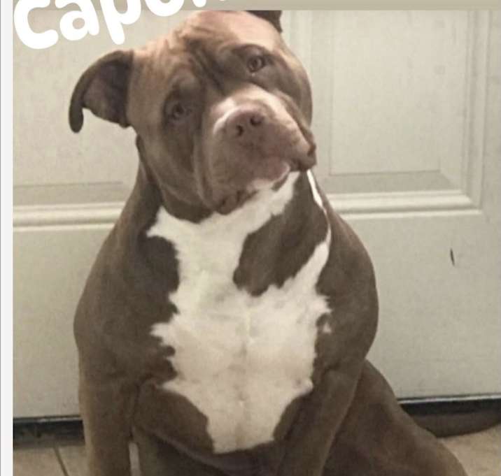 Photo of Capone