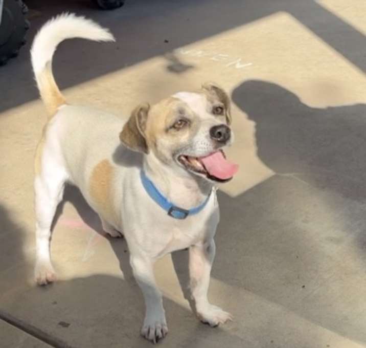 Photo of Coco