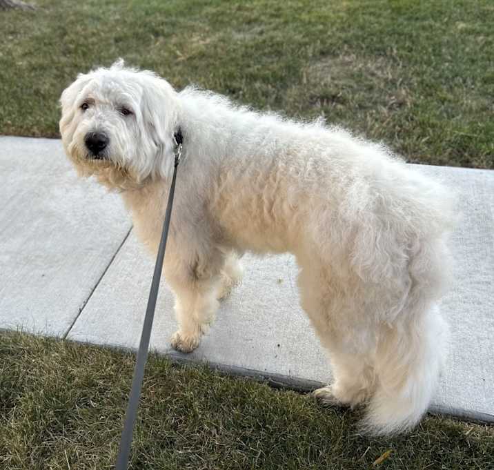Photo of sonny