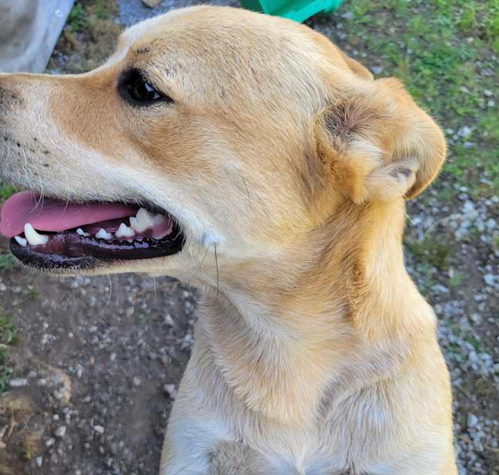 Photo of Bagel