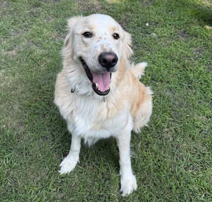 Photo of Zeus