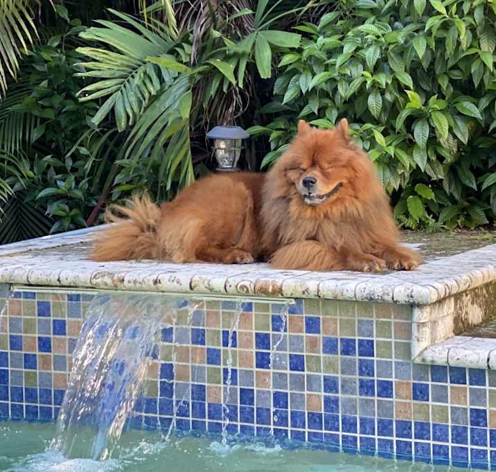 Photo of Jonah
