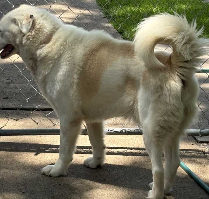 Photo of Blue