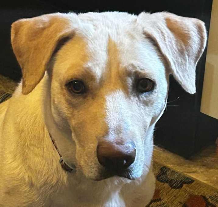 Photo of Molly