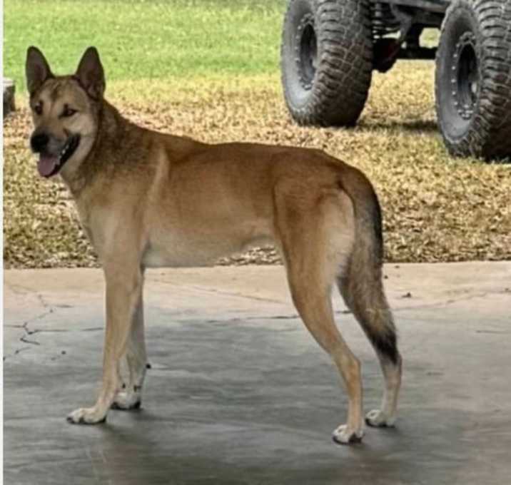 Photo of Diego