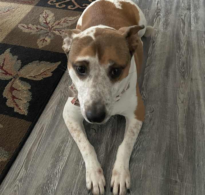 Photo of Sasha