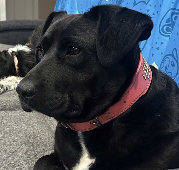 Photo of Betty