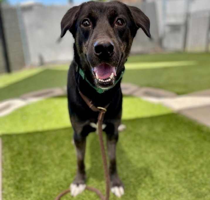Photo of *Edna*