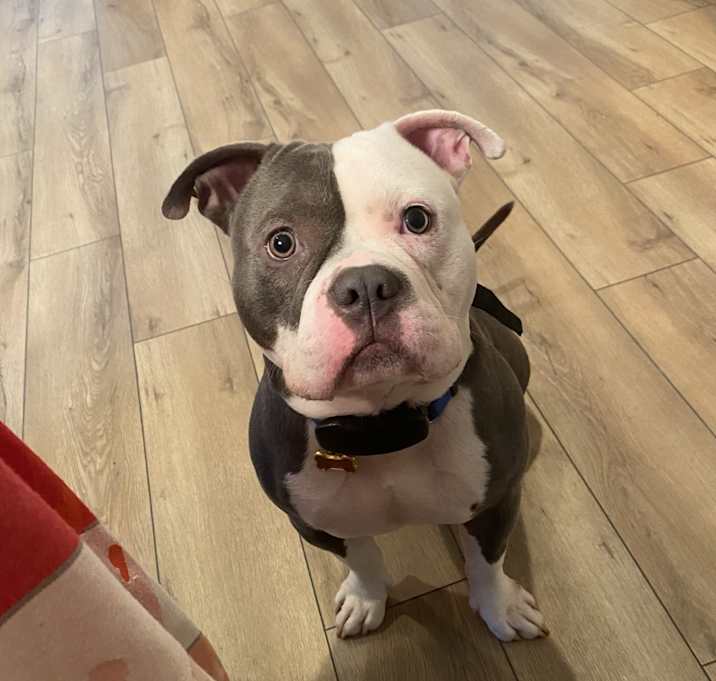 Photo of Hemi