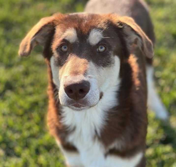 Photo of ELI