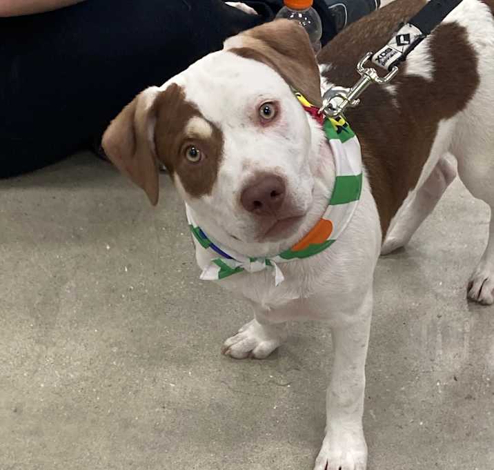 Photo of Floyd