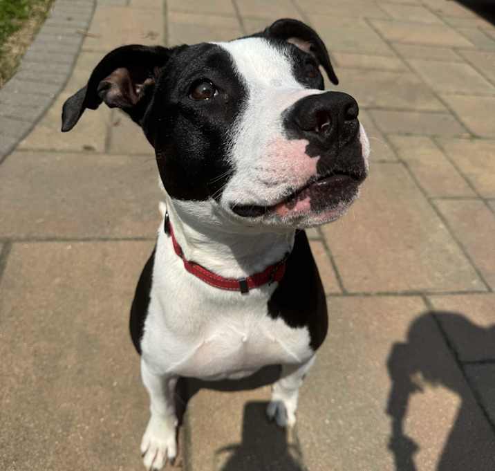 Photo of Benny