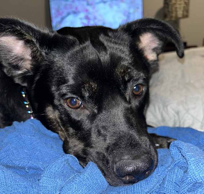 Photo of Lina