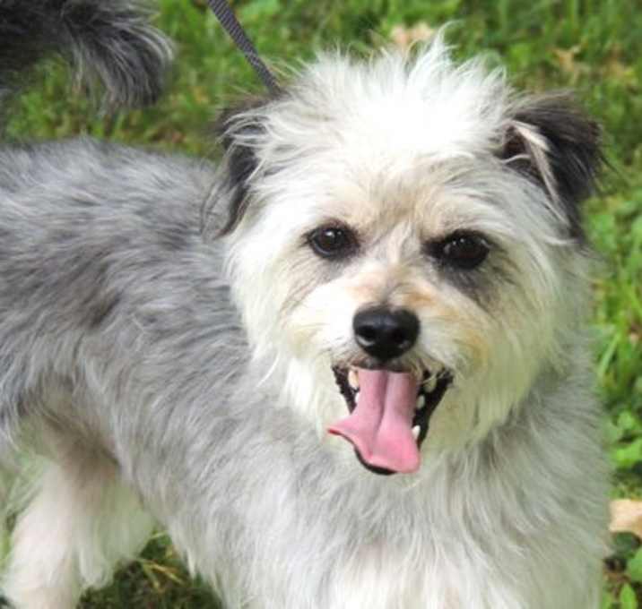 Photo of LOVEABLE LOKI