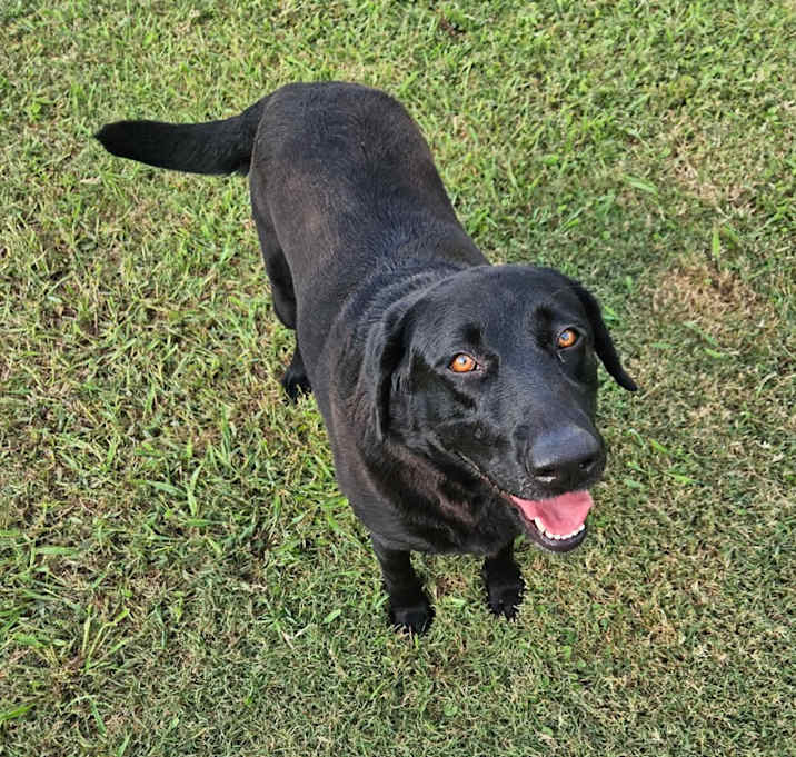 Photo of Lyla