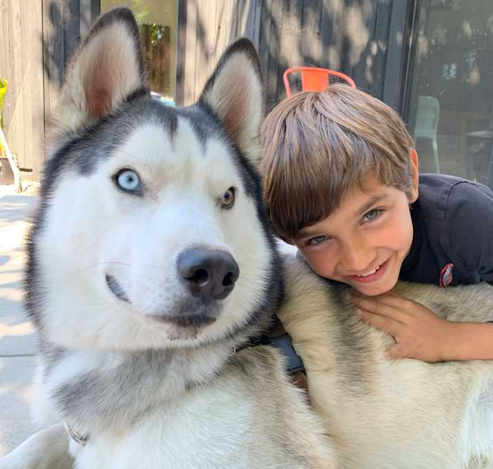Photo of Koda