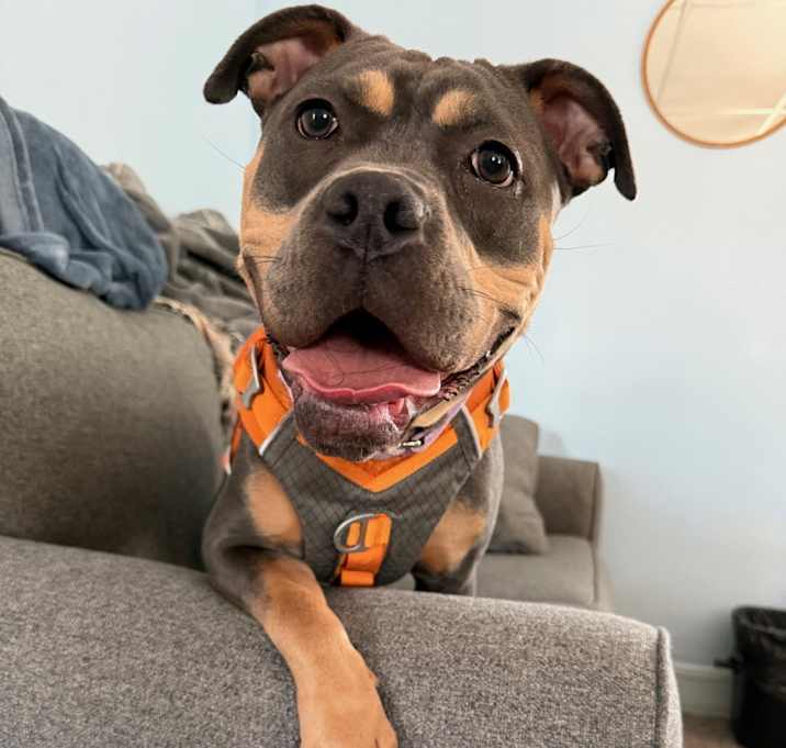 Photo of Athena