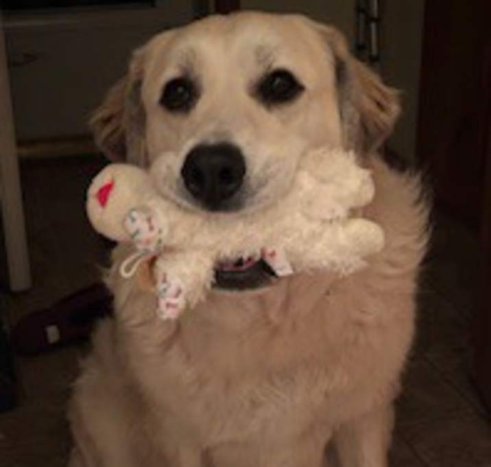 Photo of Gertie
