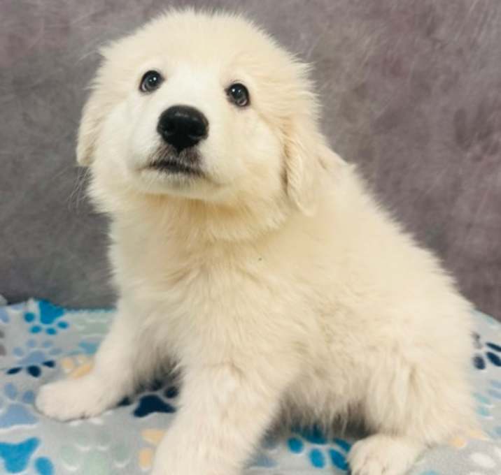 Photo of Cloud