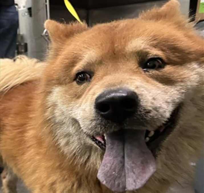 Photo of NARUTO