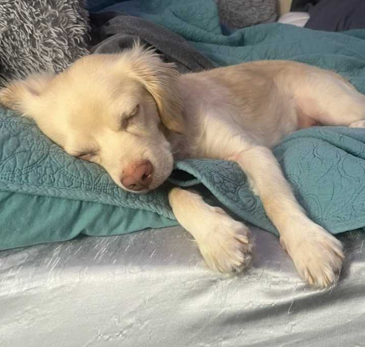 Photo of Aspen