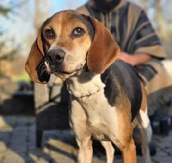 Photo of WAtson