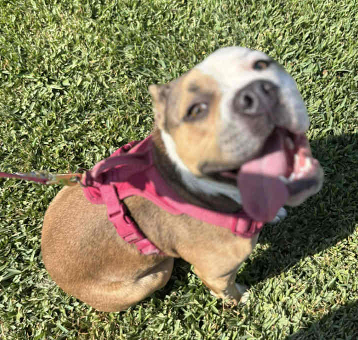 Photo of LUCY